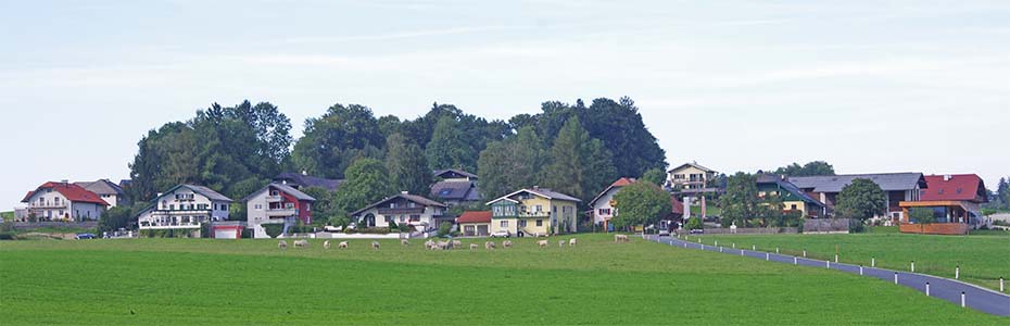 Künftige Heimat